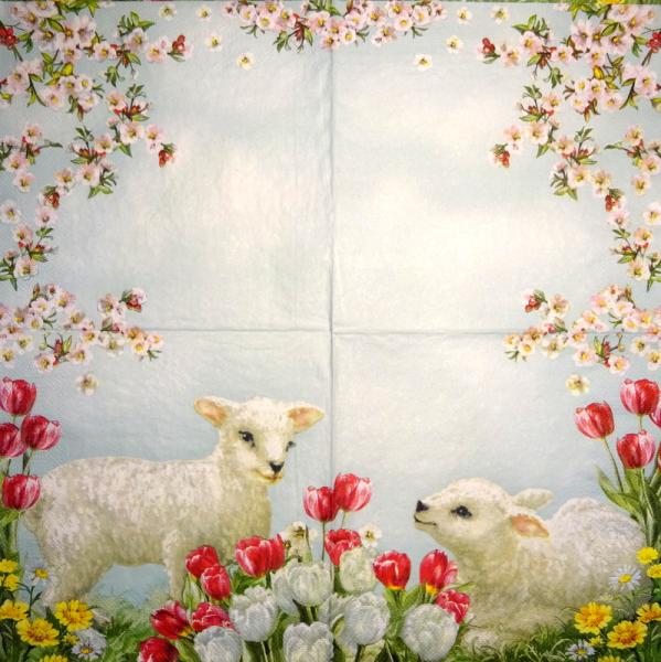 011 Sheep - 3-ply (11)